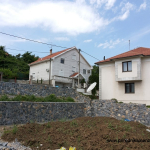 Plavi