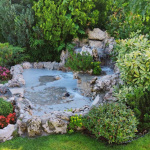Fontana Pinosava