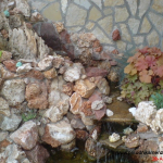 Mesano