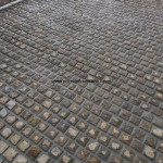 IMG-20241124-WA0737