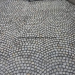 IMG-20241124-WA0740