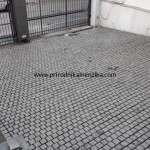 IMG-20241124-WA0776