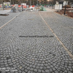 IMG-20241124-WA0790