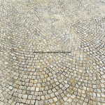 IMG-20241124-WA0828