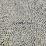 IMG-20241124-WA0831