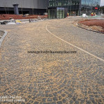 IMG-20241124-WA0860