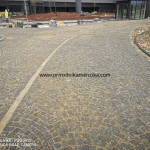 IMG-20241124-WA0866