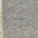 IMG-20241124-WA0919