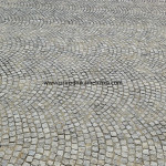 IMG-20241124-WA0966