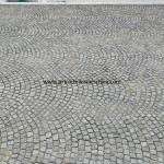 IMG-20241124-WA0976