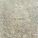 IMG-20241124-WA0977