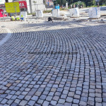 IMG-20241124-WA1283