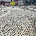 IMG-20241124-WA1294