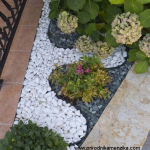 image-1-copy